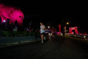 BIB: 
                            <button type="button" onclick="openModal(26552598)" class="btn btn-primary btn-sm float-right btn-popup" data-toggle="modal" data-target=".modal-high-quality">
                        <i class="fas fa-shopping-cart"></i> Add to Cart
                    </button>
                                            <button type="button" onclick="isThisMe(26552598, true)" class="btn btn-success btn-sm float-right btn-popup btn-isme hidden" data-toggle="tooltip" data-placement="bottom" title="นี่คือรูปของคุณใช่ไหม คลิกที่นี่เพื่อเอาเข้าอัลบั้ม">
                        <i class="fas fa-plus"></i> Add to album
                    </button>
                    <button type="button" onclick="isThisMe(26552598, false)" class="btn btn-warning btn-sm float-right btn-popup btn-isnotme hidden">
                        <i class="fas fa-ban"></i> Remove from album
                    </button>